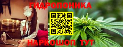 мяу мяу мука Малгобек